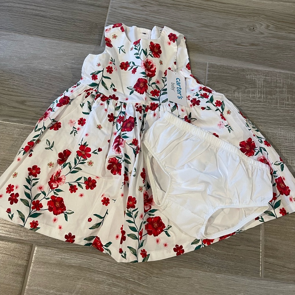 NWT carters 6 month white with red flowers dress
